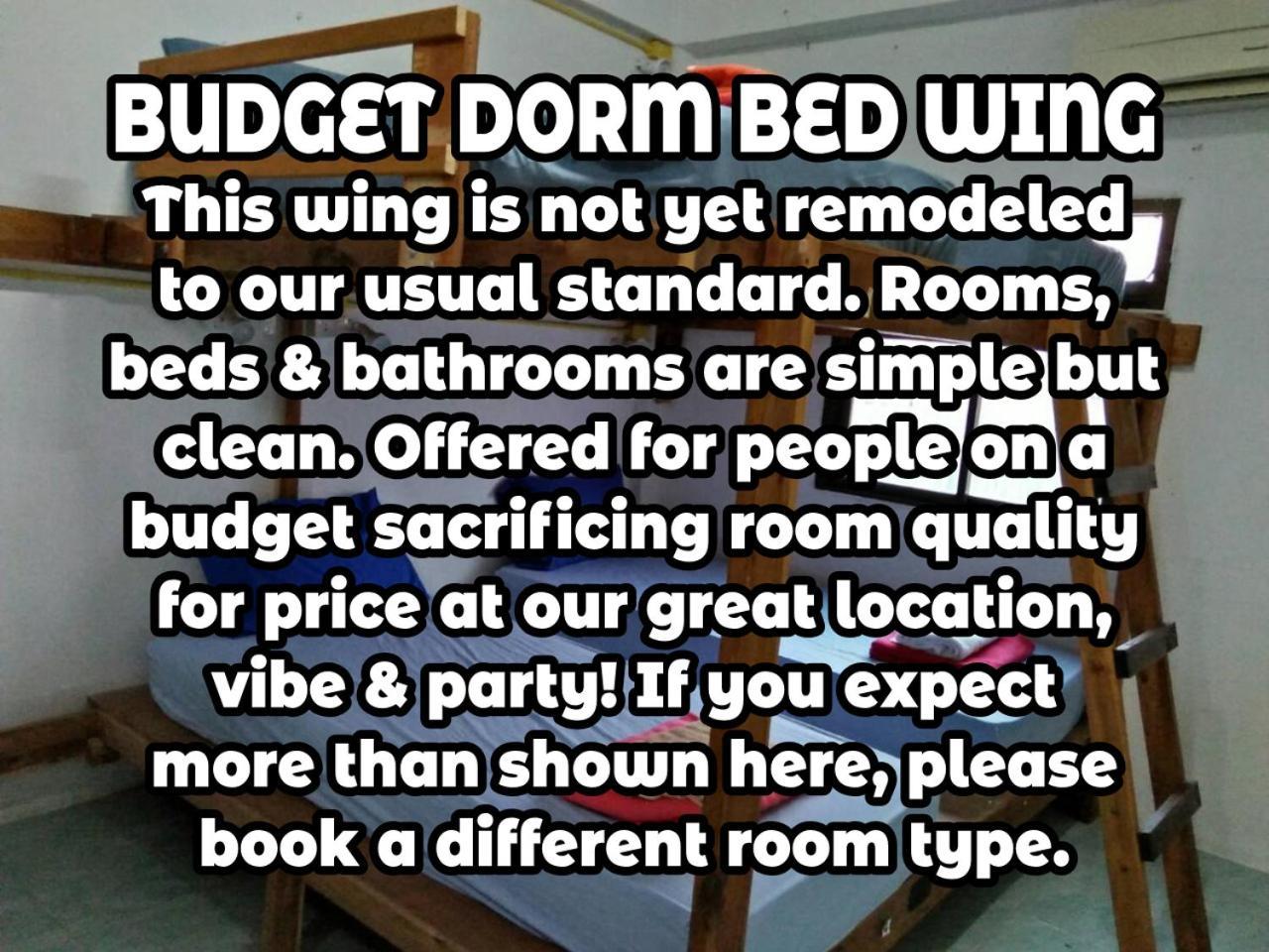 Wild & Wandering Backpacker Hostel & Bar Хаад Рин Номер фото